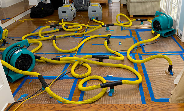 Professional Storm Water Damage Restoration technician working in Toone, TN